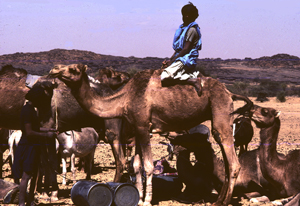 Mauritanie5X