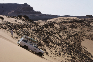 Sahara10X