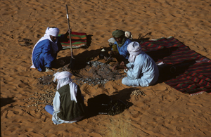 Sahara9X