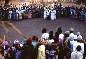 S&eacute;n&eacute;gal12X