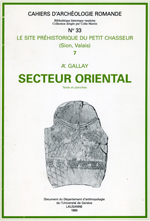 PCISecteurEX