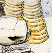 ChamblandesSX
