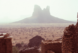 Dogon1X