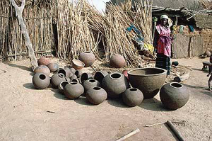 Dogon11X