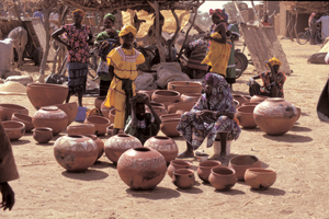 Dogon12X