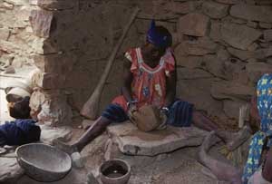 Dogon14X