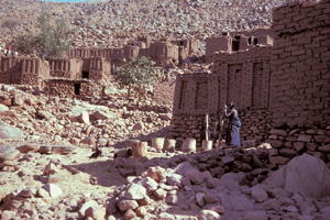Dogon2X