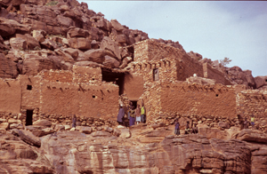 Dogon3X
