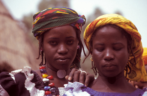 Dogon6X