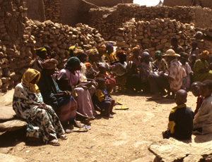 Dogon7X
