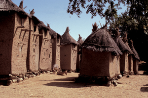 Dogon9X