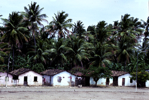 Brésil12