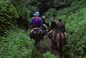 aa