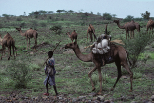 Ethiopie9X