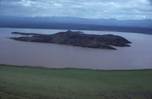 Kenya7X