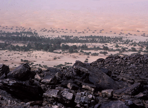 Mauritanie12X