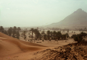 Mauritanie2X