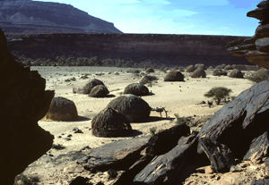Mauritanie7X