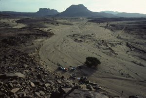 Sahara1X