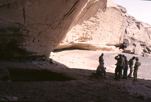 Sahara11X