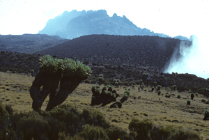 Tanzanie10X