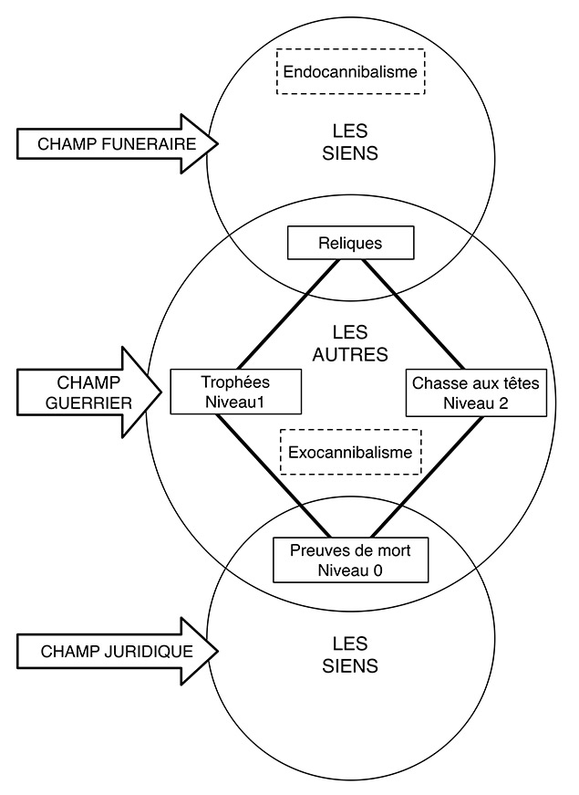 Figure. Sémantique. Relations entre les divers concepts utilisés dans l’interprétation des têtes coupées. 