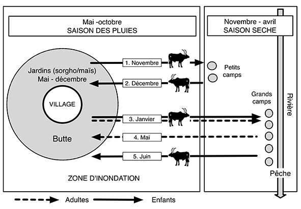 Baraoin 2003_FIG3x