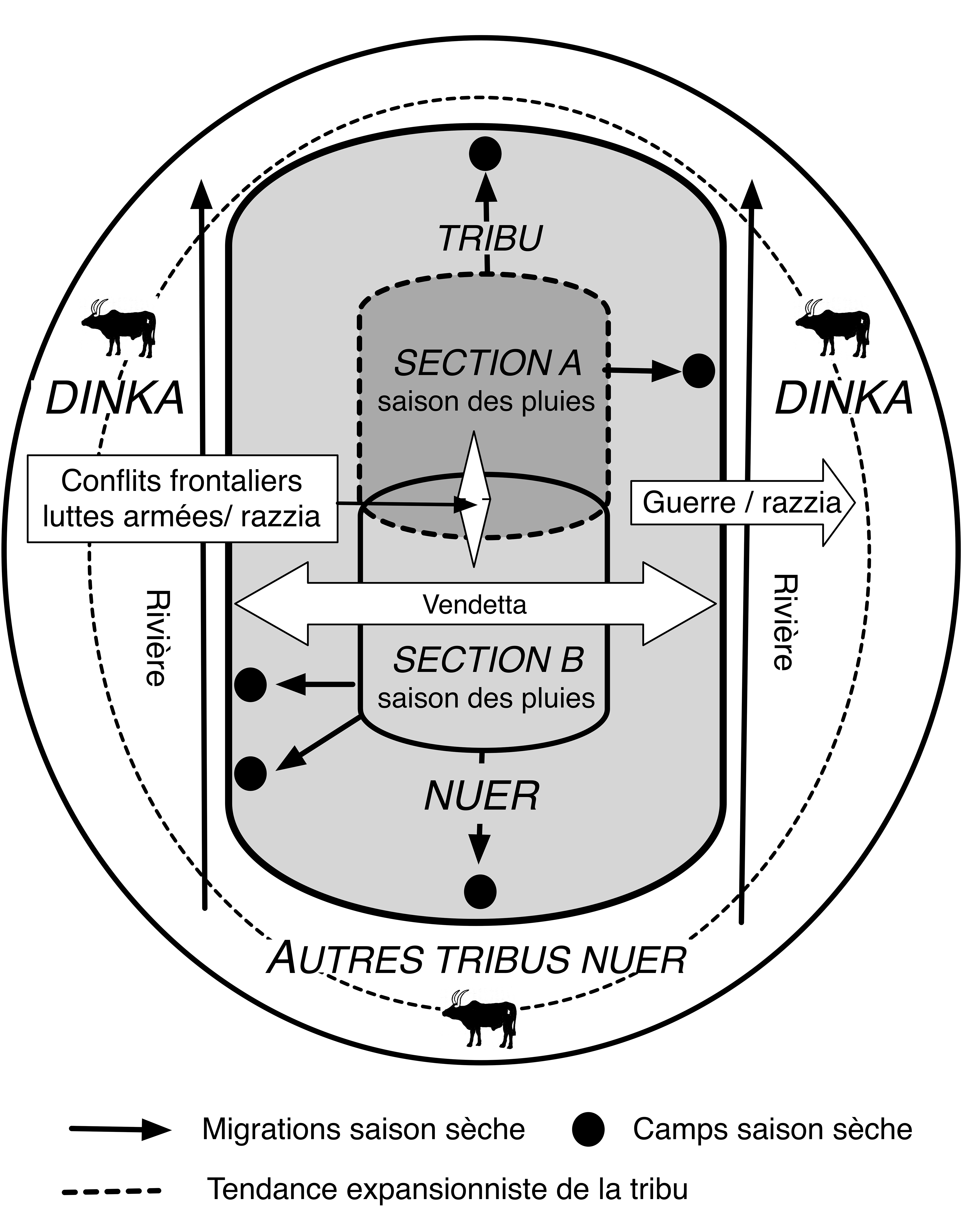 Baroin 2003_FIG2x