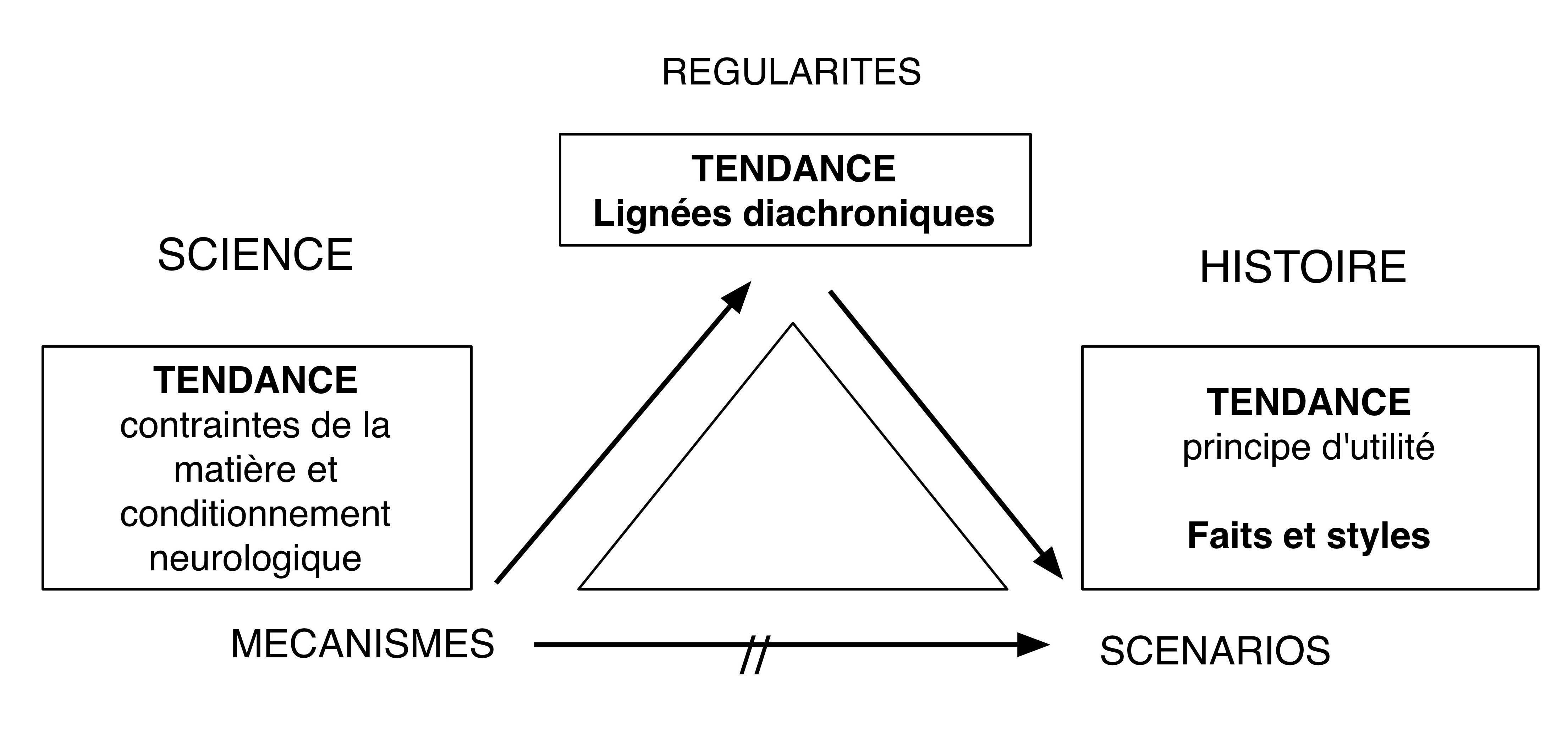 Fig. 10. Positions épistémologiques de la notion de tendance chez Leroi-Gourhan. 