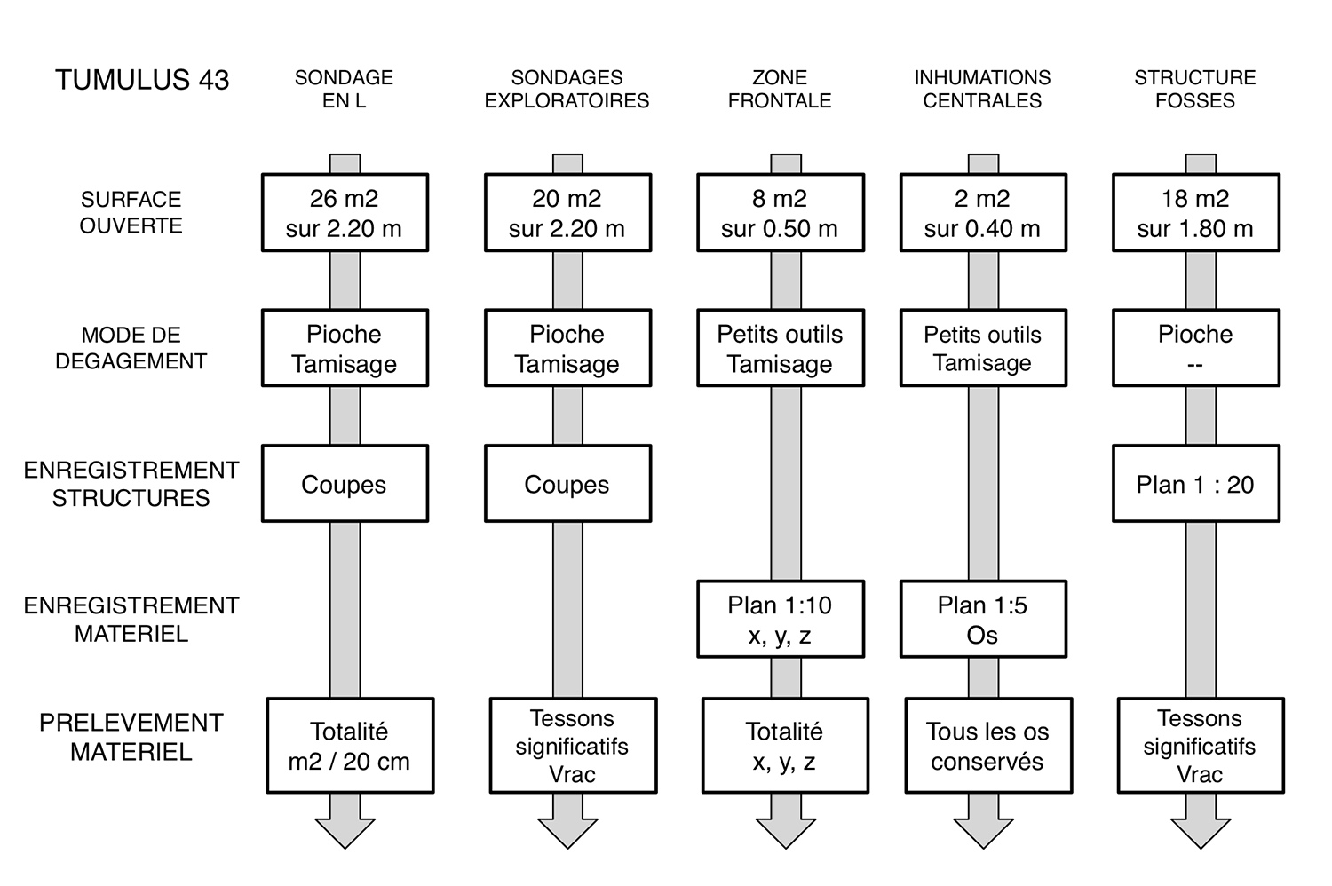 Fig3 Mb43_TactiqueX