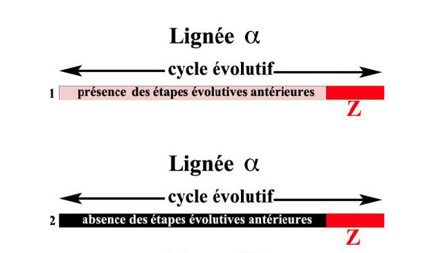 Fig3c