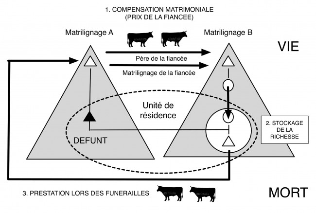 Fig. 6. Système de prestations - contre-prestations liant compensations matrimoniale et dons lors des funérailles. Schéma A. Gallay établi à partir des données de Dupire 1977.