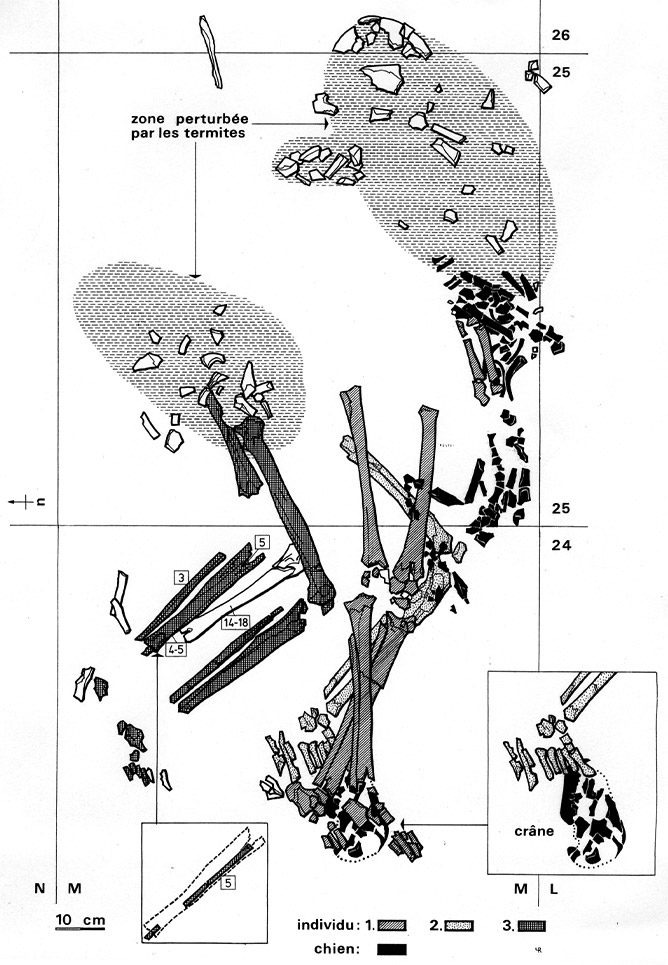 Fig. 2. Santhiou Kohel (Sénégal). Sépulture centrale du tumulus 43. Relevé de la sépulture centrale. En noir : restes du squelette de chien.