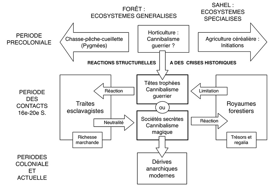 Figure 1. Structure dynamique du cannibalise en Afrique d'après les données de Guille-Escuret. 