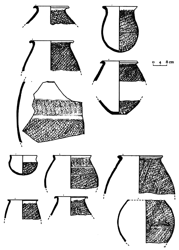 Fig. 2. Un exemple de céramiques.