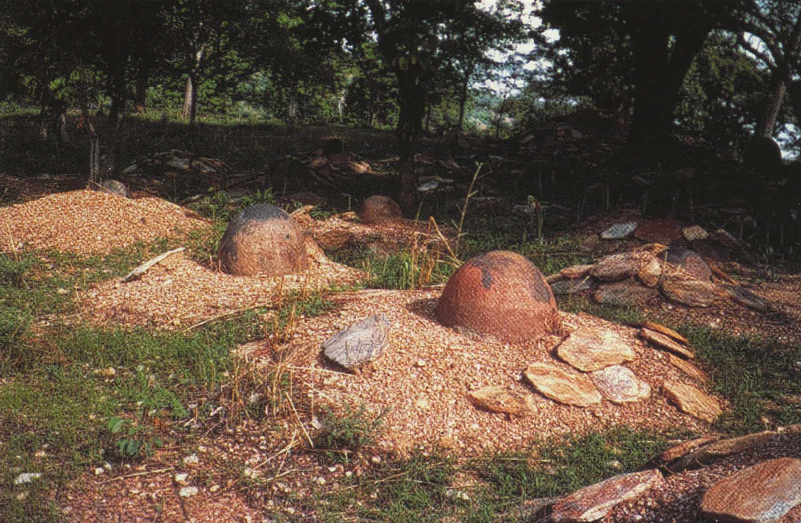 Fig. 5. Cimetière de Warengo, D'après Sewane, D. 2002. La nuit des Grands Morts. Paris : Economica. Photo 4. 