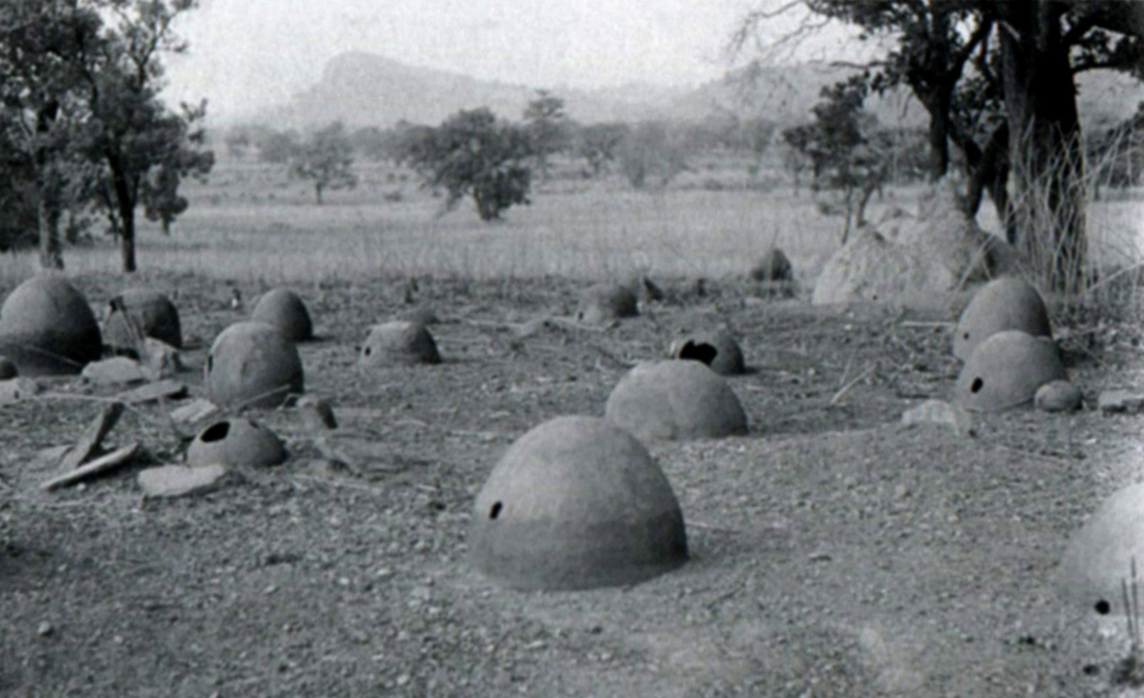 Fig. 4. Un cimetière. D'après Sewane 2003, Photo 30