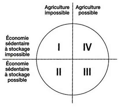 Fig. 2. Relations logiques entre stockage et agriculture (Testart, fig, 26).