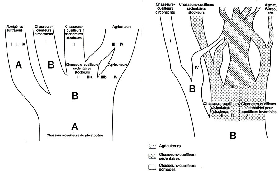 fig. 3. Arbres de l’évolution des chasseurs-cueilleurs et des premières sociétés agricoles (Testart, fig. 29 et fig. 34).
