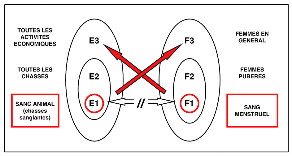 Fig. 6. Le langage dans lequel s’exprime l’idéologie lorsqu’elle énonce des interdictions est structuré de telle façon que la catégorie significative y soit toujours remplacée par une catégorie plus large (D’après Testart 1986, fig. 2, p.41, modifié).