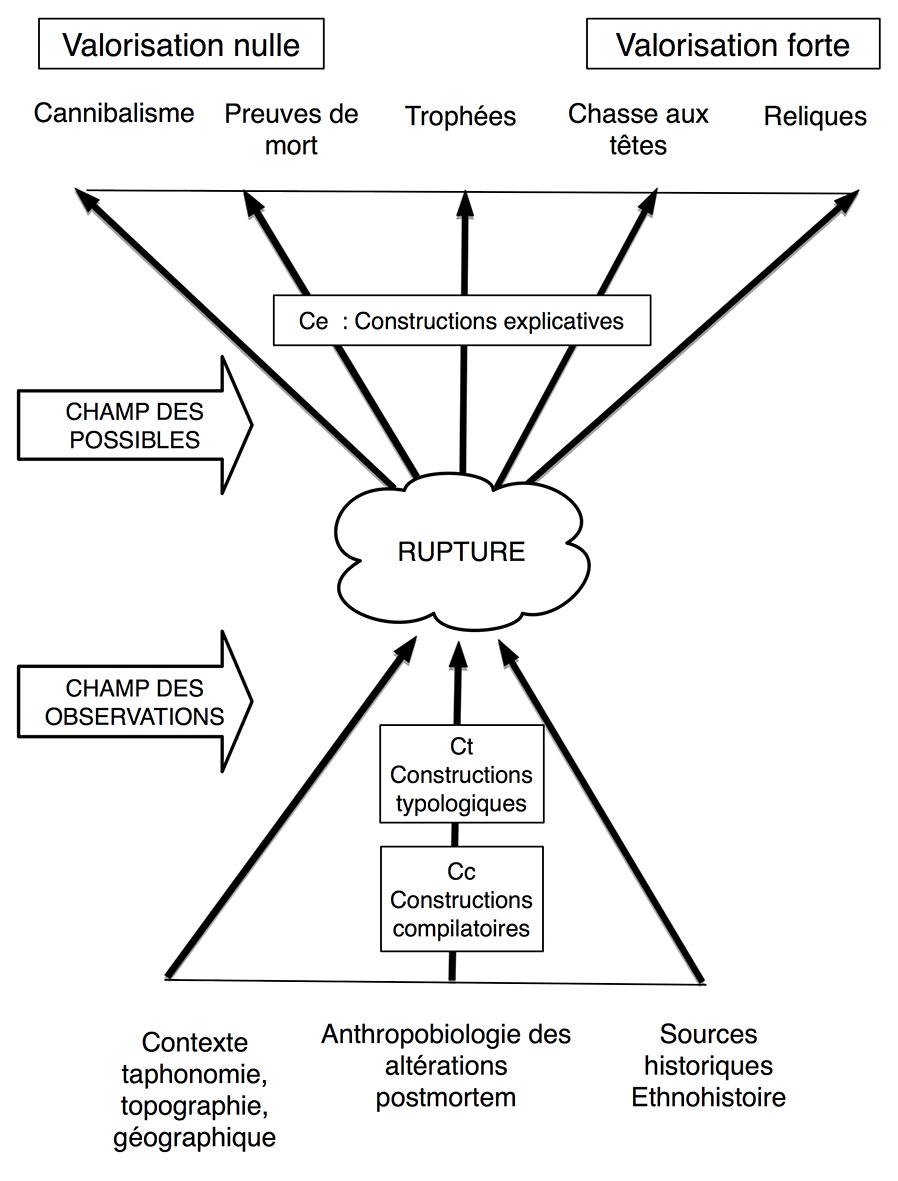 FIG2 Têtes2x