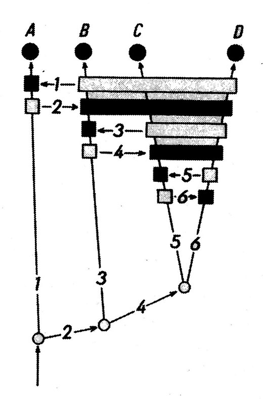 arbre_clade