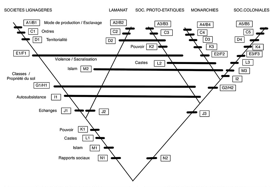 Figure 2 : analyse cladistique des stades de développement de la société wolof. 