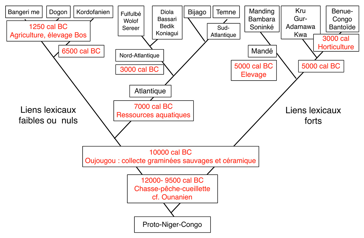 Fig2 Niger-Congo_DatesX