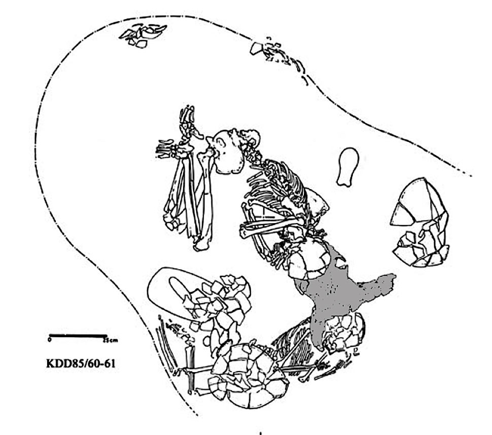  Fig. 16. El-Kadada, cimetière C. Sépulture double associée à un crâne de bovidé (KDD85/60-61) (Reinold 2005, fig. 1)