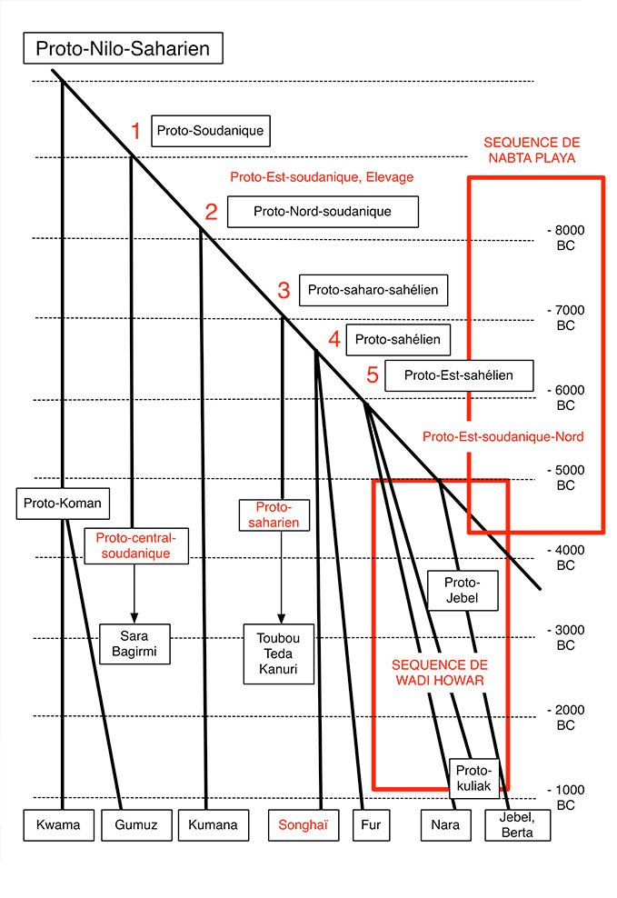 Fig. 2. Arbre phylogénétique du Nilo-saharien selon Ehret 1993/1995 par rapport aux séquences archéologiques de Nabta Playa et du Wadi Howar. Les dénominations de familles en rouge sont celles de Rilly. Schéma simplifié Alain Gallay.