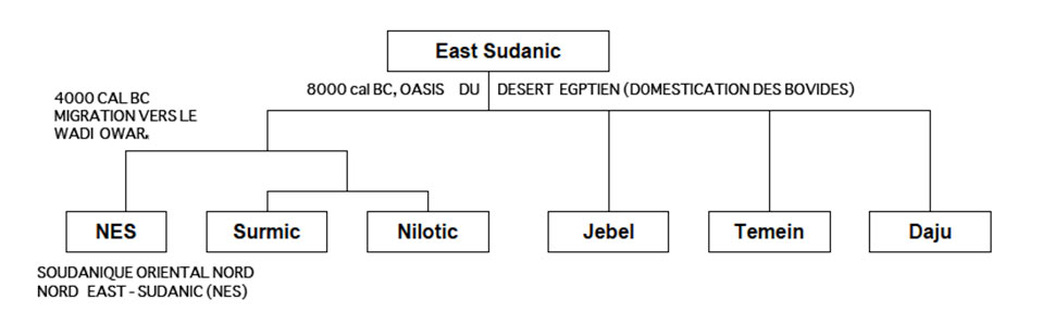  Fig.3. Développement du Soudanique oriental selon Rilly 2009 (pour une vue légèrement différente voir Dimmendaal 2007).