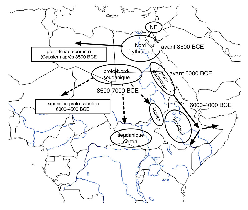 Fig. 7. Carte de diffusion de l’Afrasien par rapport à l’expansion du phylum nilo-saharien. Repris d’Ehret 2011, carte 2 selon une autre graphie. Le Soudan central n’intervient dans cette reconstruction que comme zone réceptrice du Koman, une langue nilo-saharienne marginale, d’ailleurs située pratiquement à la frontière éthiopienne. Carte Alain Gallay. 