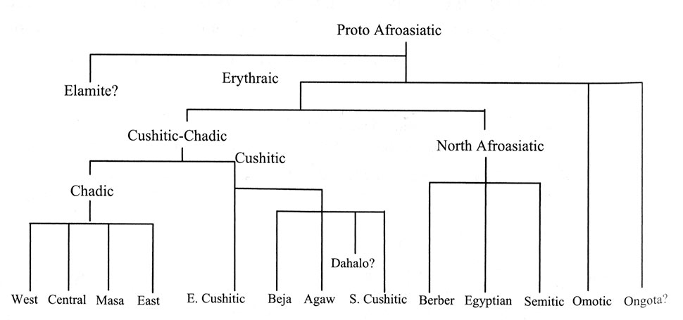  Fig. 8. Classement des langues afro-asiatiques selon Blench 2006, fig. 4.7.