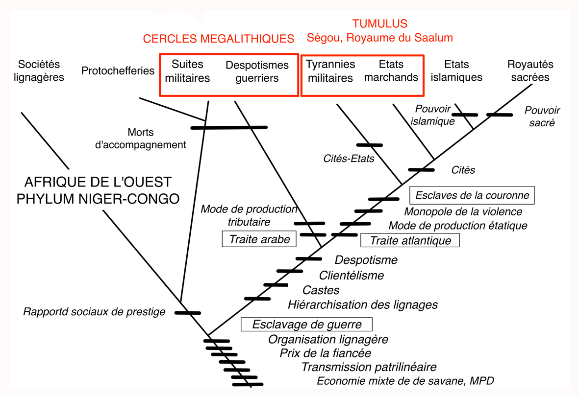 Fig11 Clades_Sénégambie